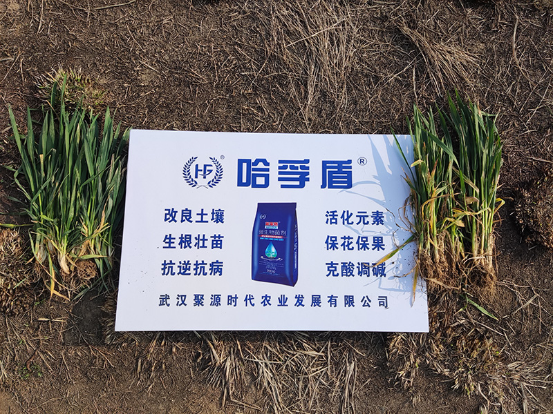 客戶案例