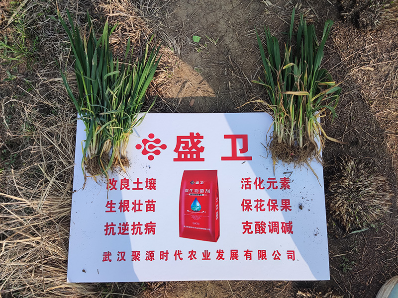 客戶案例	