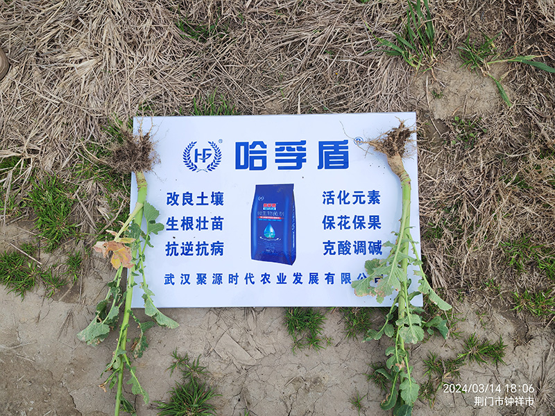 客戶案例	