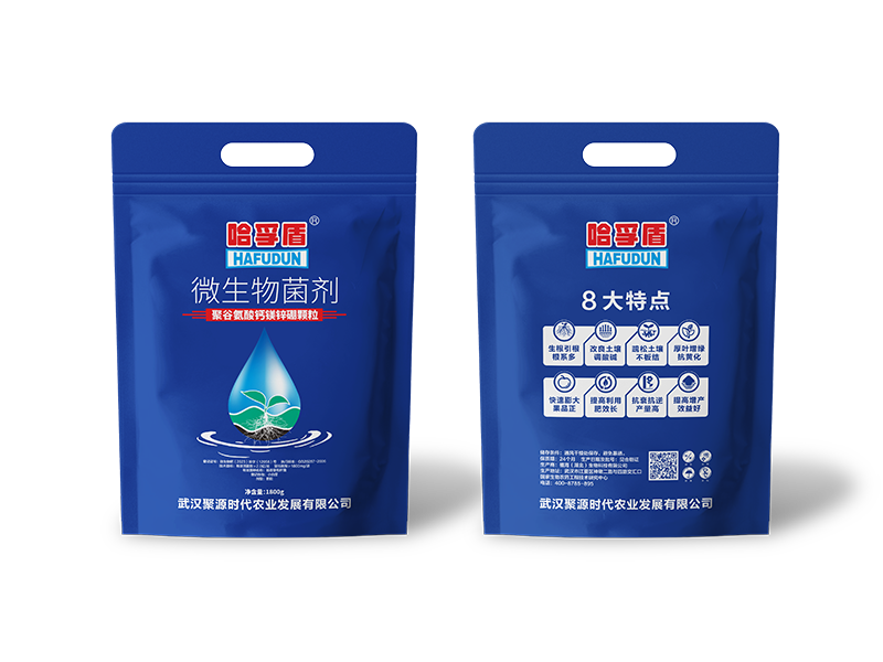 哈孚盾